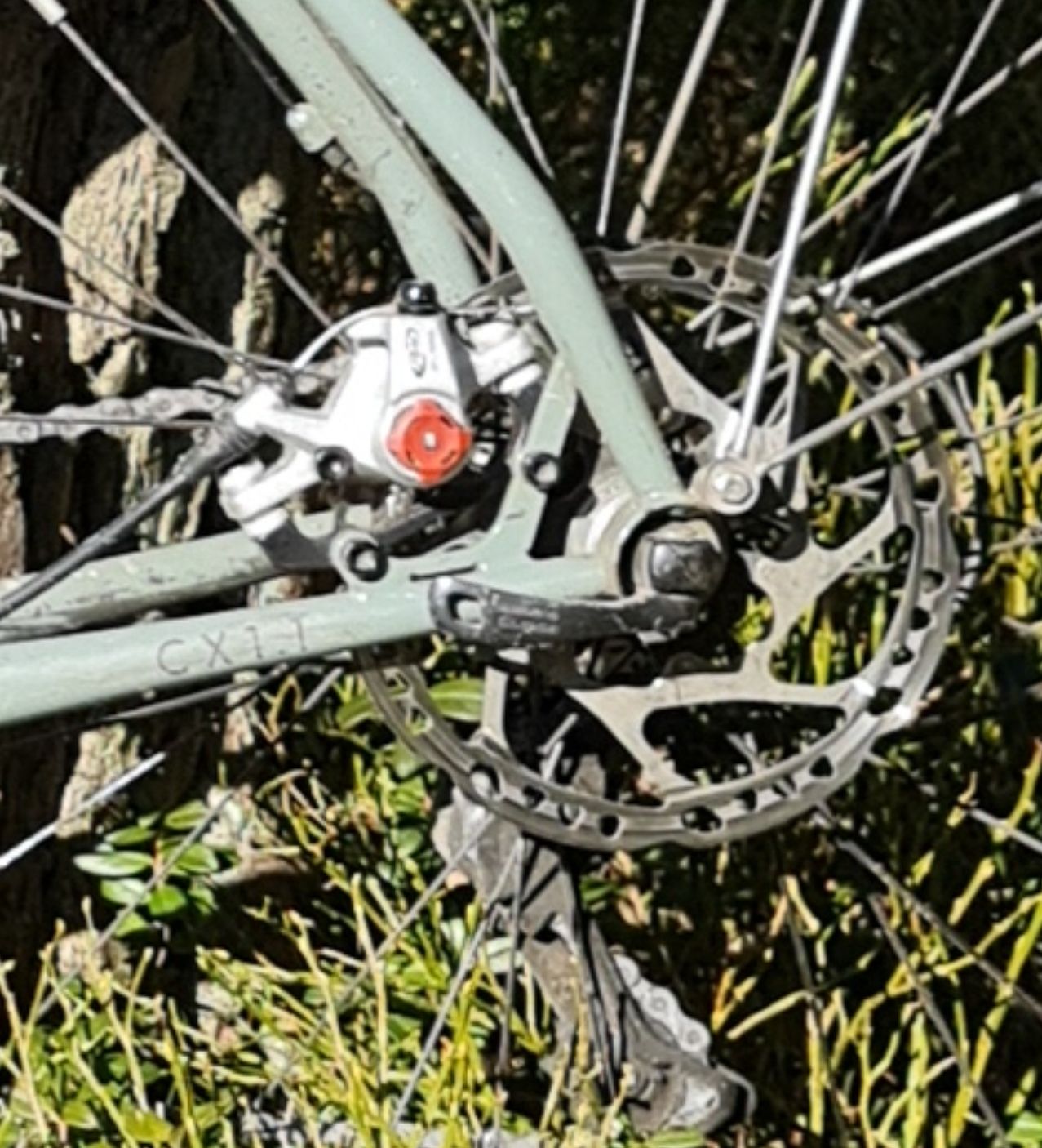 SmartSelect_20230518_171832_Photos.jpg