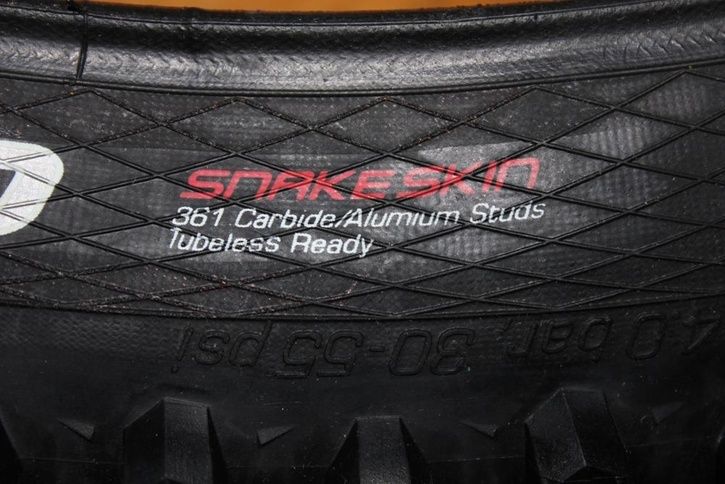 Snakeskin.jpg