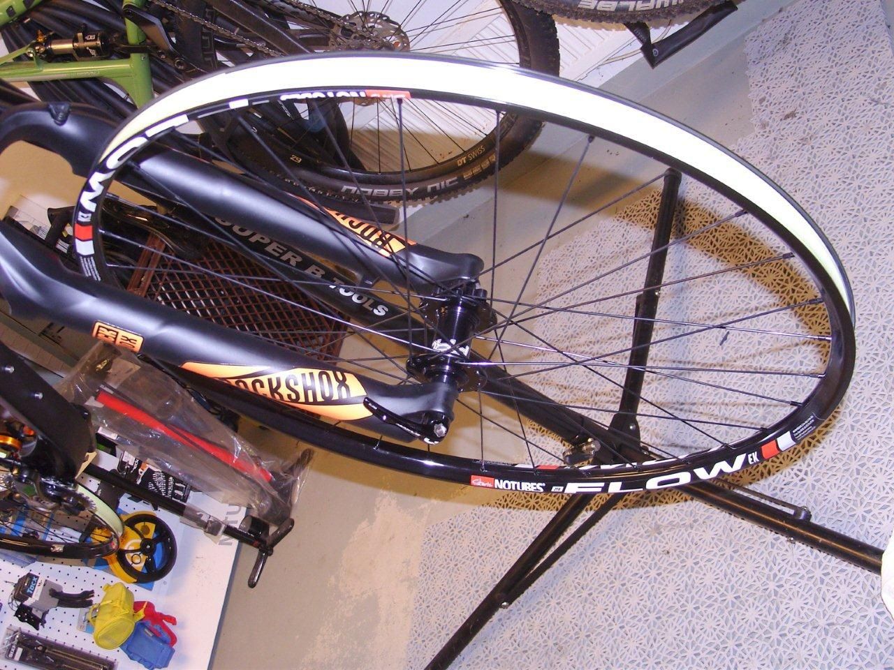 SNB15198.jpg