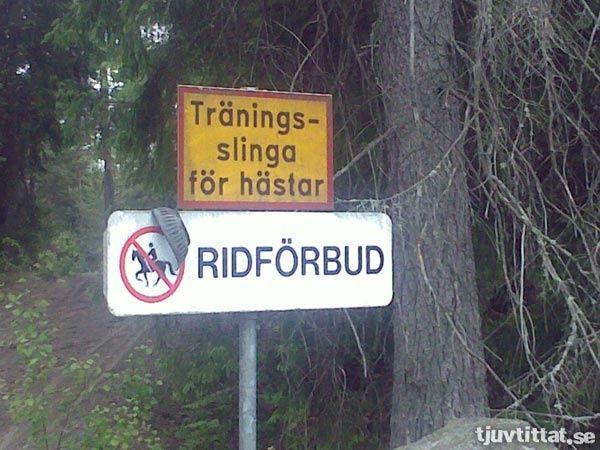 snelhest.jpg