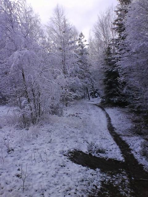 sno.jpg ht=640