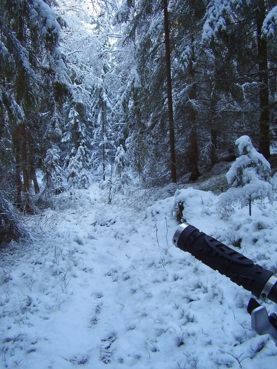 sno.jpg ht=725