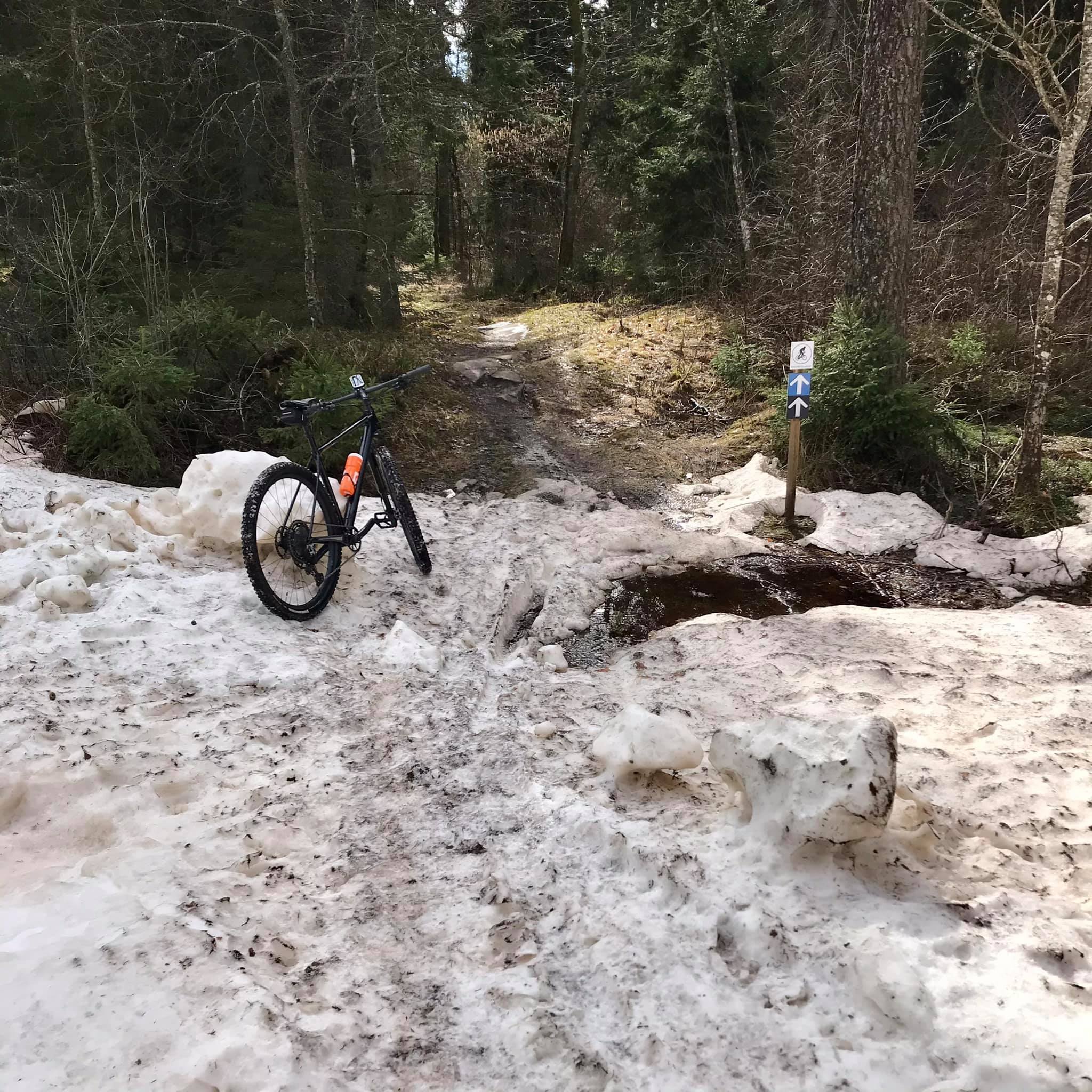 snö.jpg