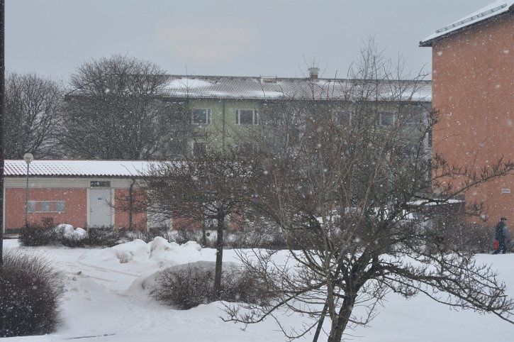 sno.jpg ht=482