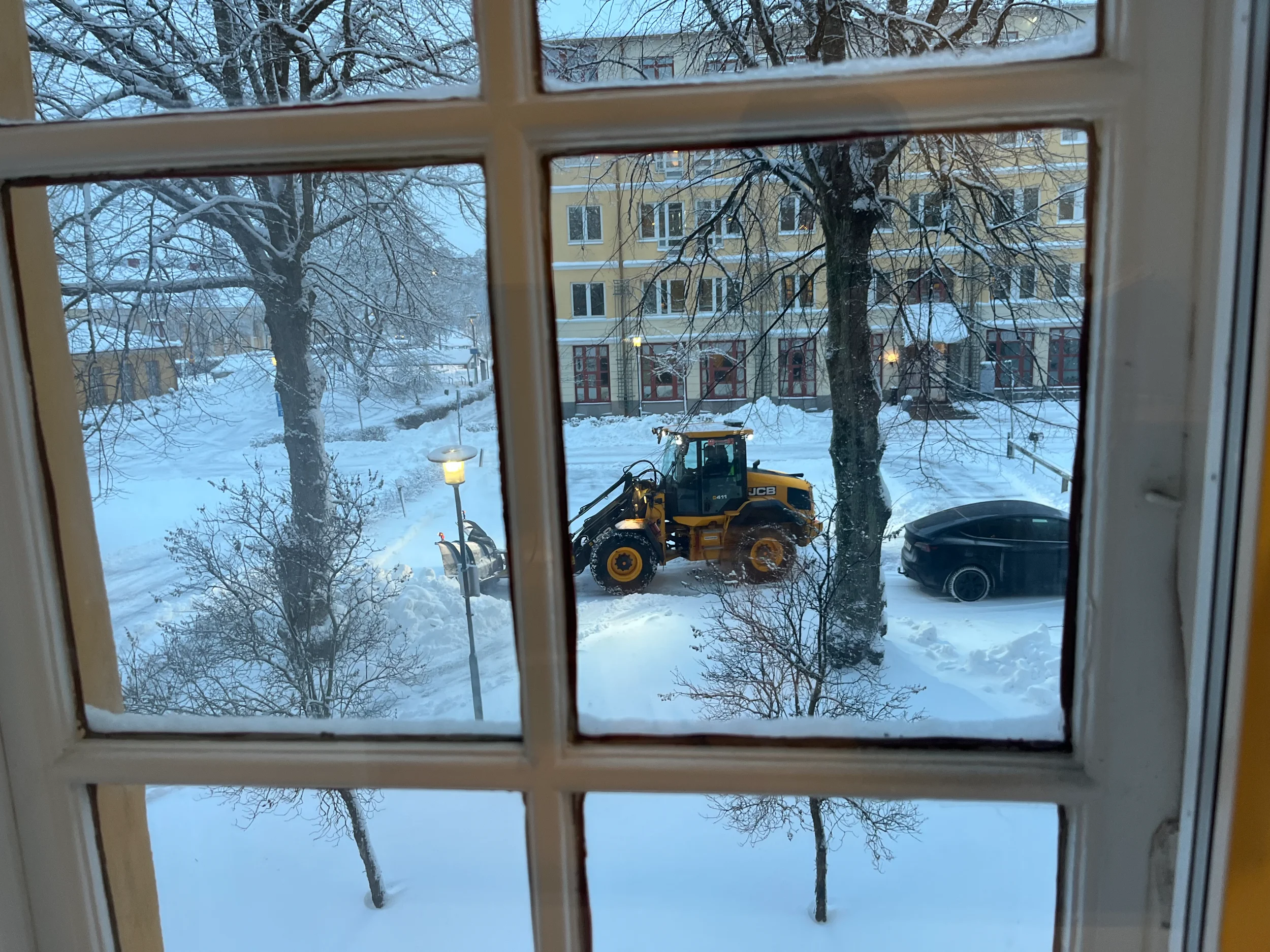 snö1.webp