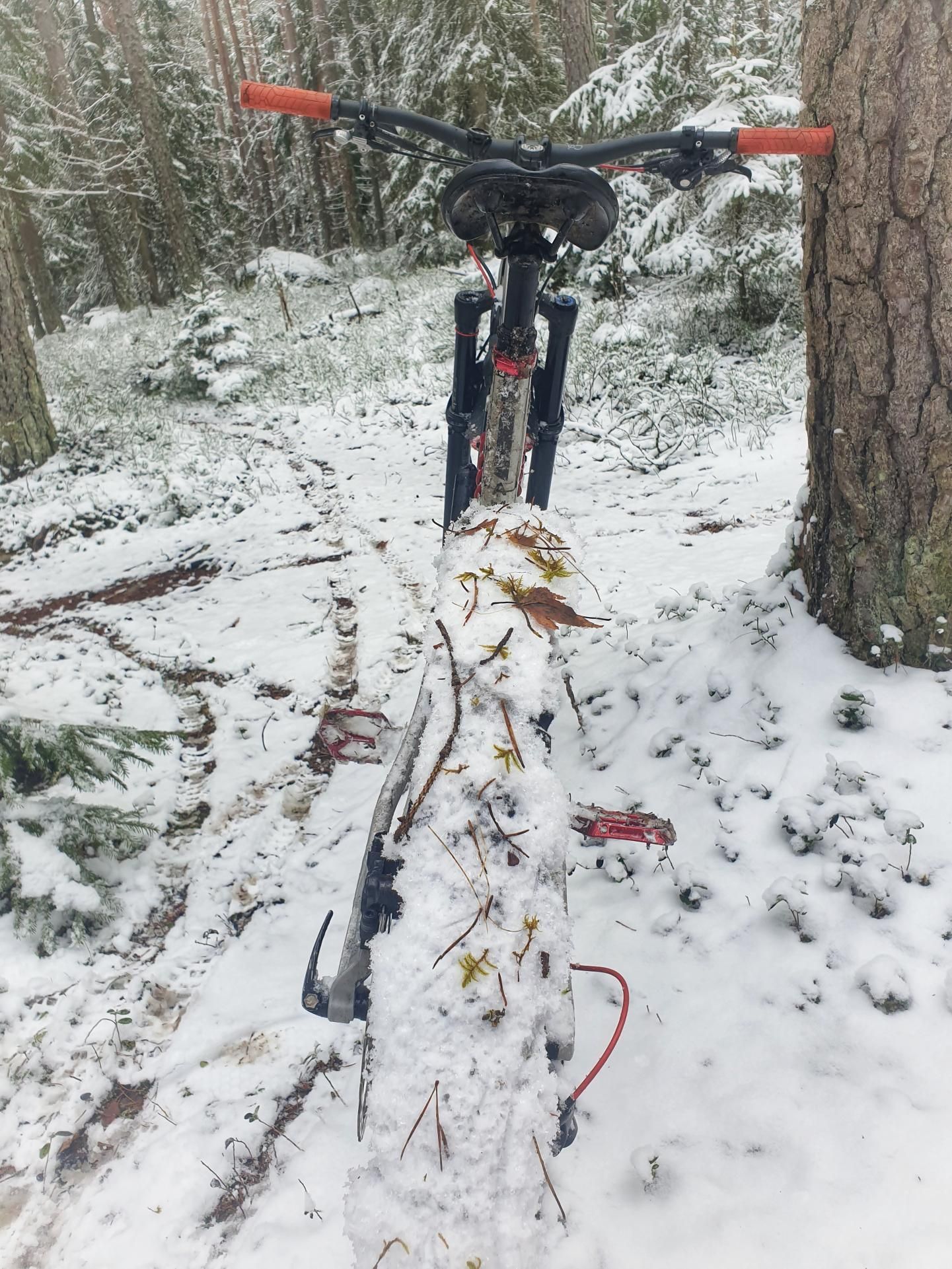 snööö.jpg