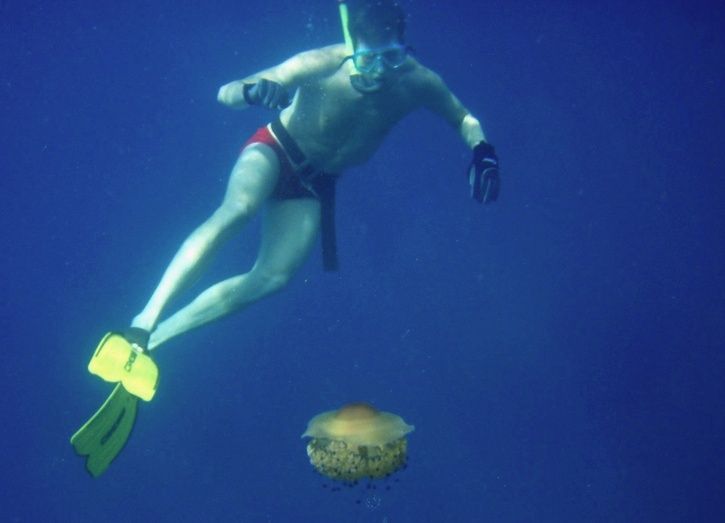 snork5.JPG ht=523