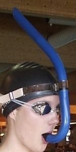 snorkel.jpg ht=300