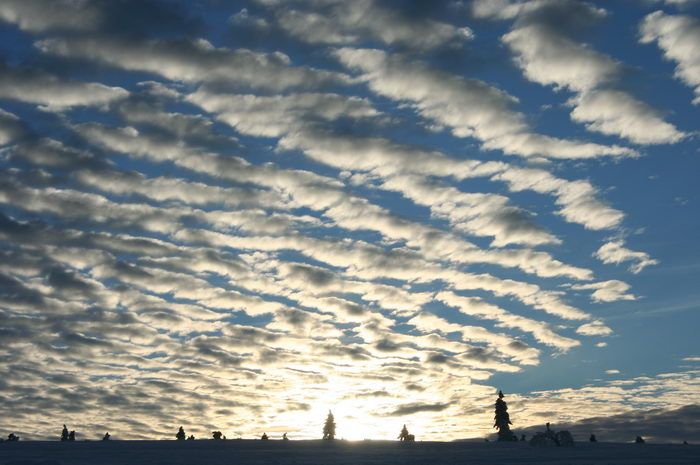 snow002.jpg ht=465