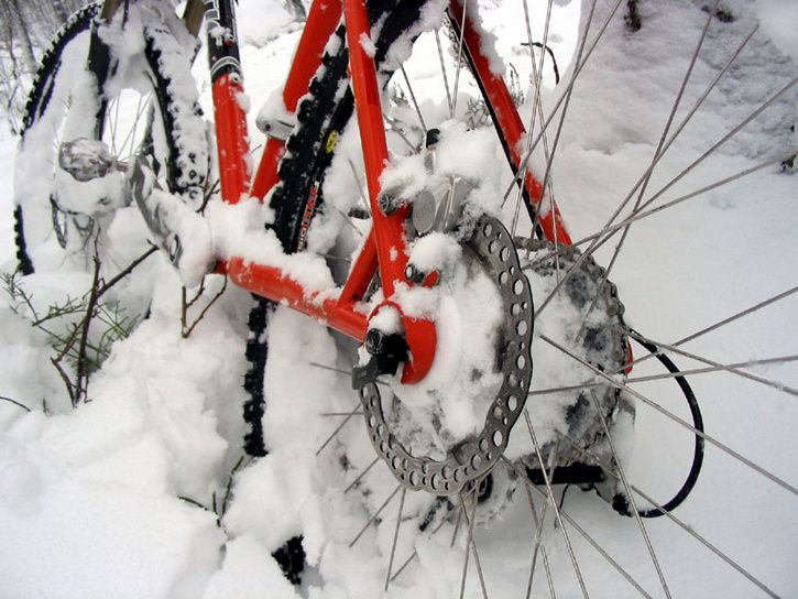 snow.jpg ht=544