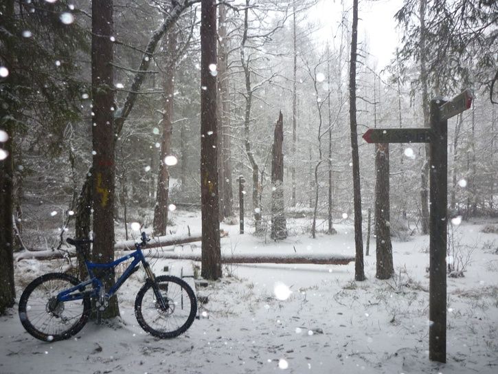 snow.JPG