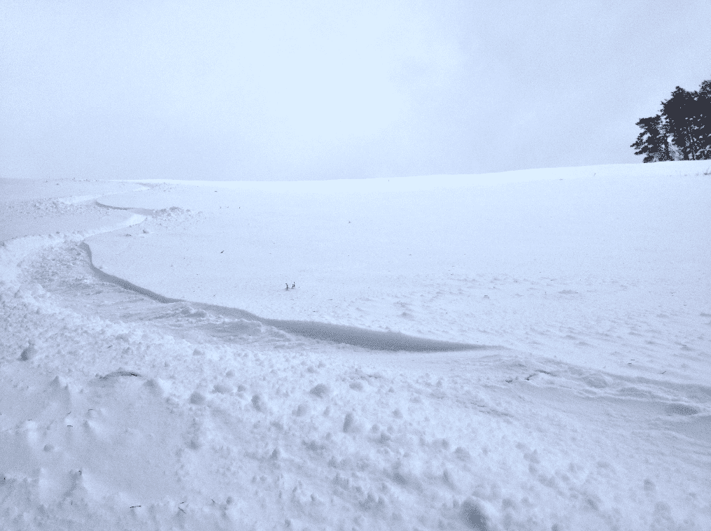 snow.png