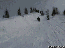 snow-racer.gif ht=206