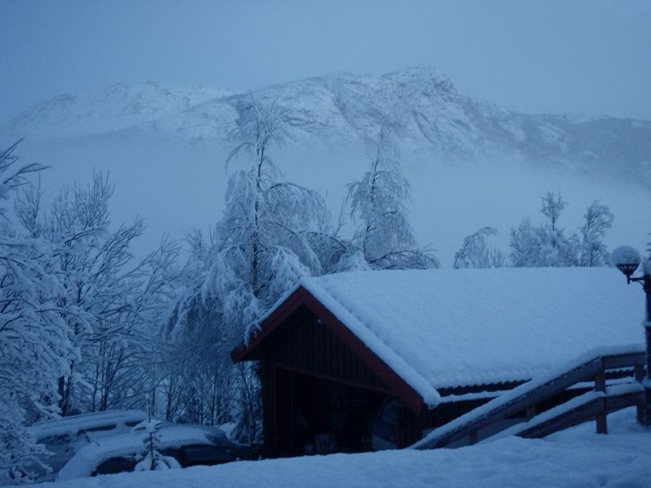 snow1.jpg