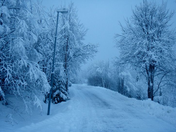snow2.jpg