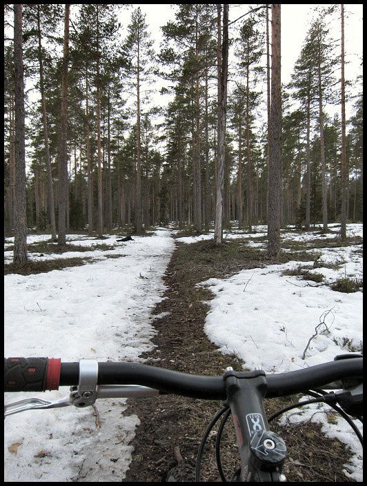 snowcheck_01.jpg ht=705