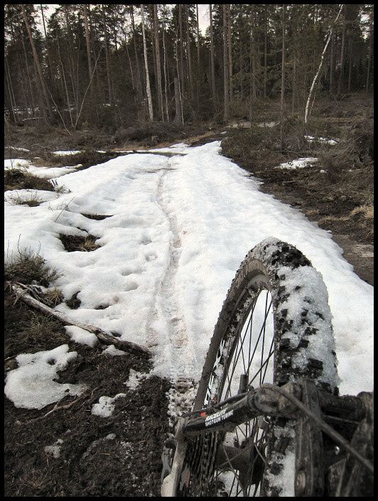 snowcheck_03.jpg ht=705