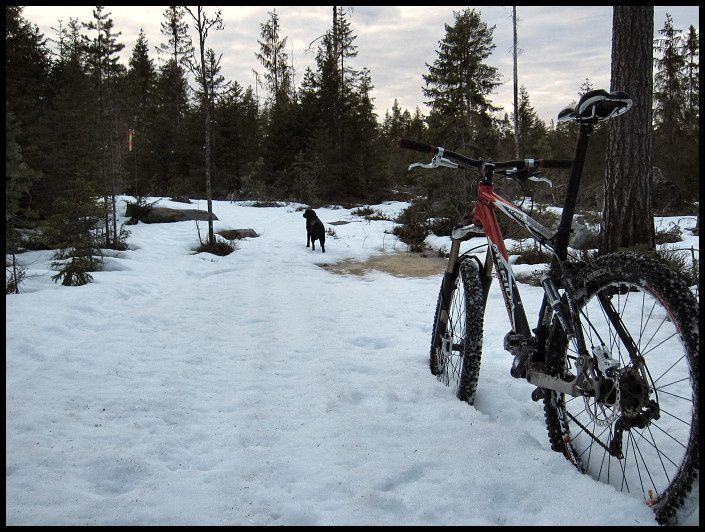 snowcheck_06.jpg ht=532