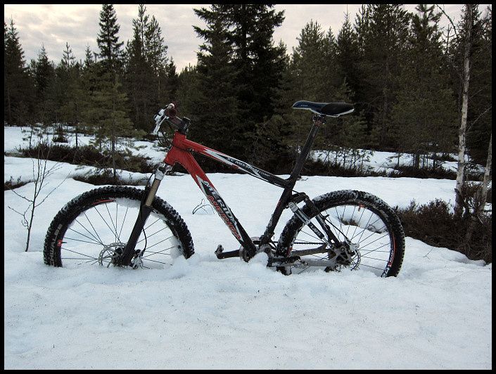 snowcheck_08.jpg ht=532