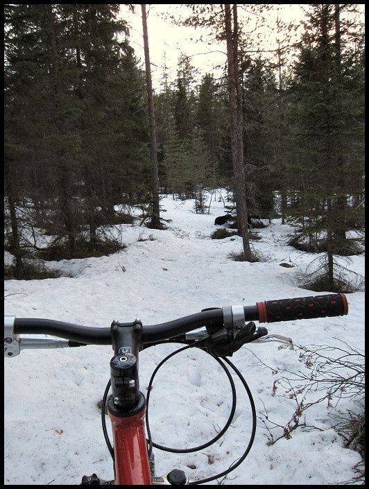 snowcheck_11.jpg ht=705