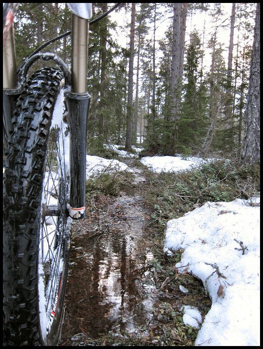 snowcheck_13.jpg ht=705