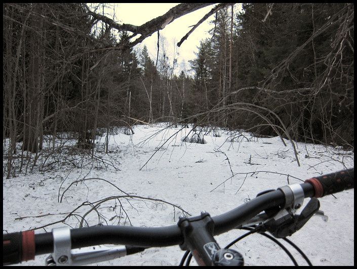 snowcheck_15.jpg ht=532