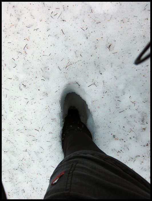 snowcheck_16.jpg ht=705