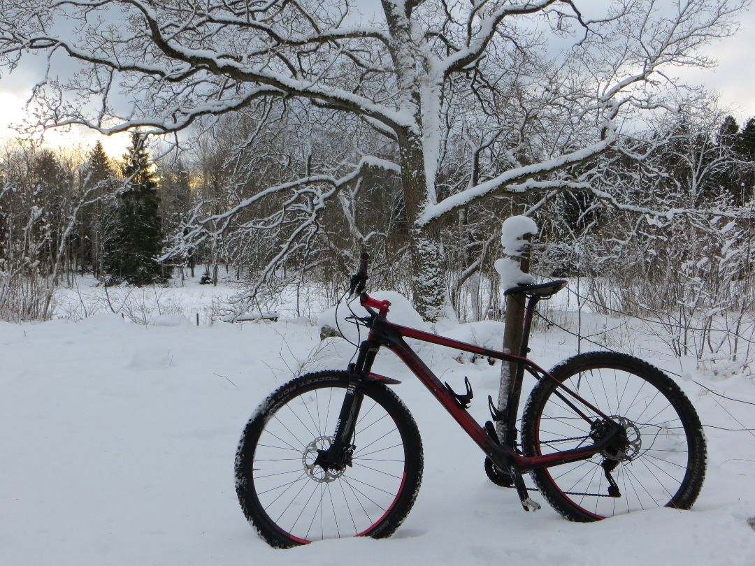 snowluns_firstlean.JPG
