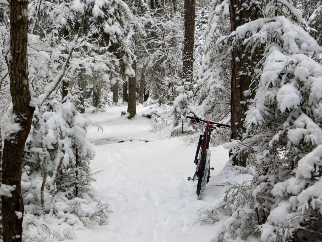snowluns_firsttrail.JPG