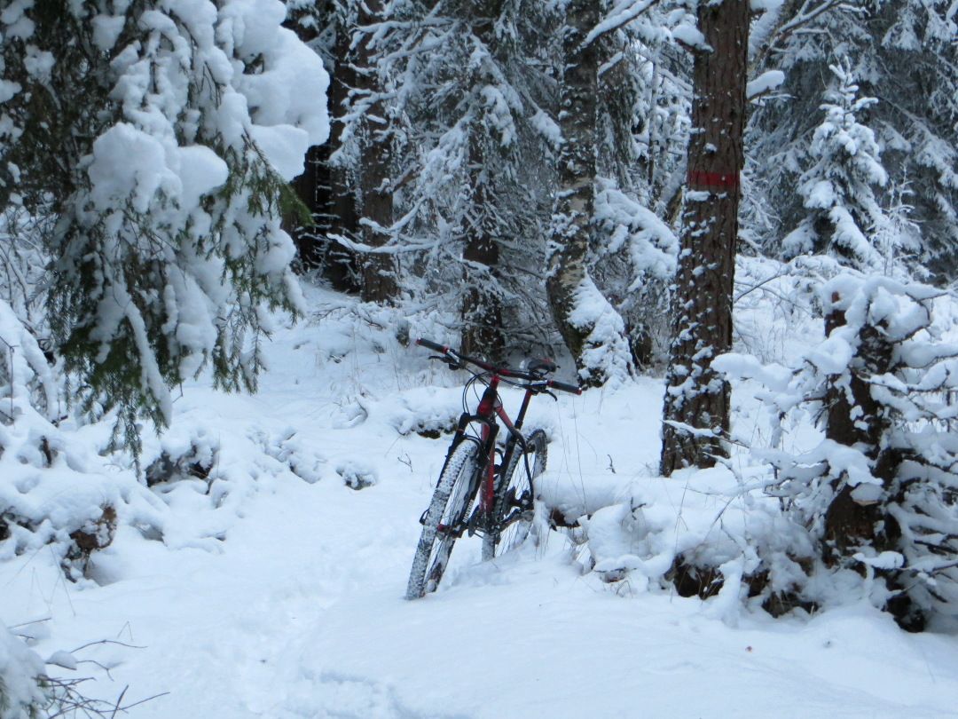 snowluns_lean2.JPG