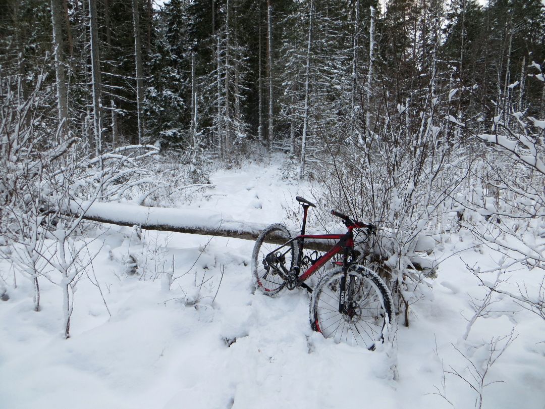 snowluns_obstacle.JPG