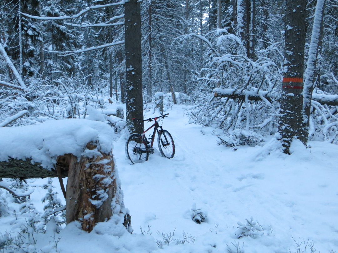 snowluns_soon.JPG