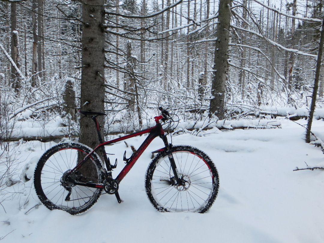 snowluns_straightlean.JPG