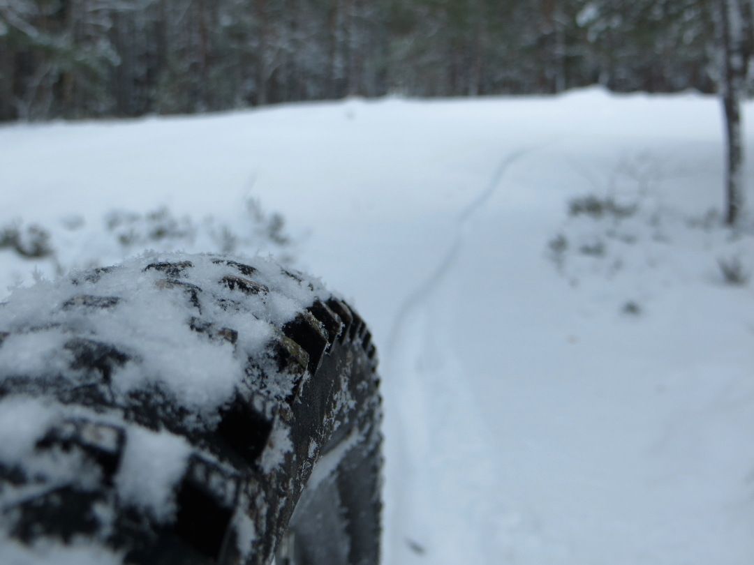 snowluns_tiretrack.JPG