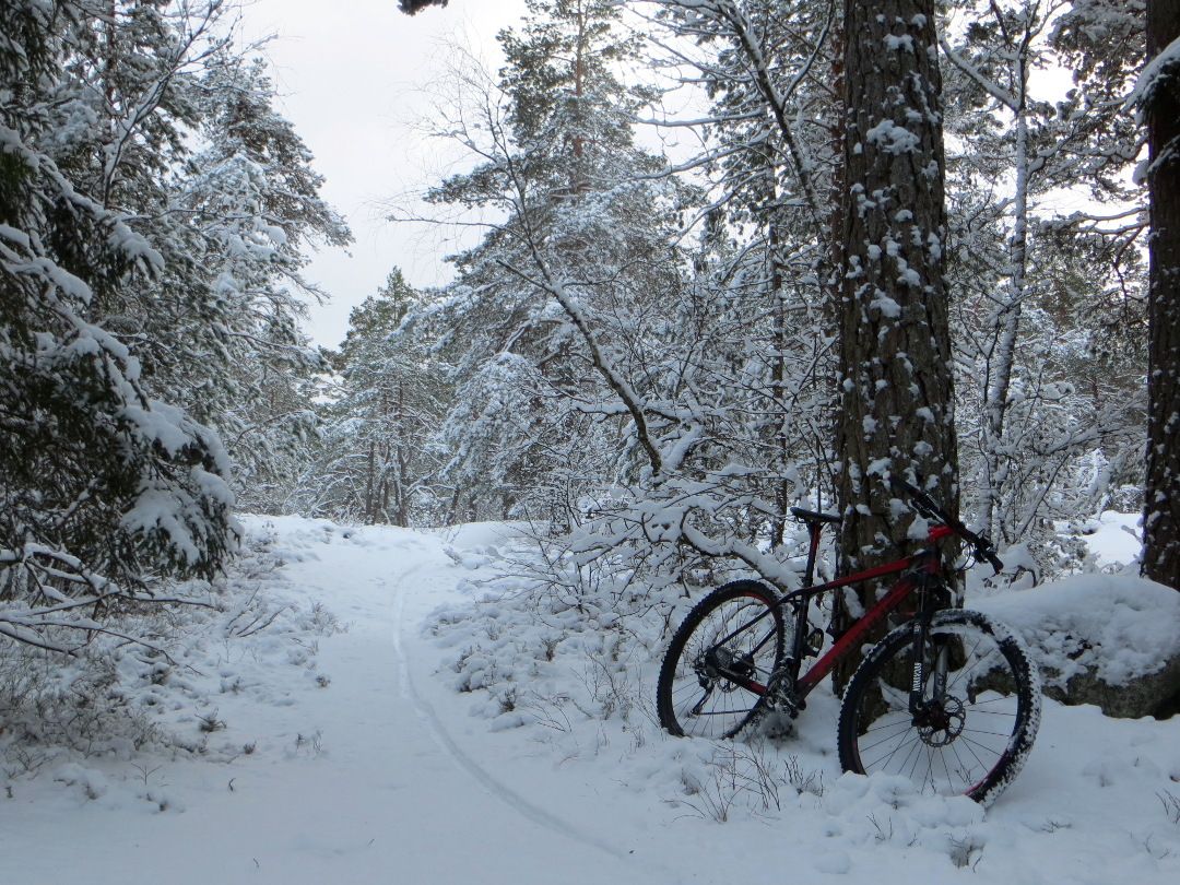snowluns_transtrail.JPG