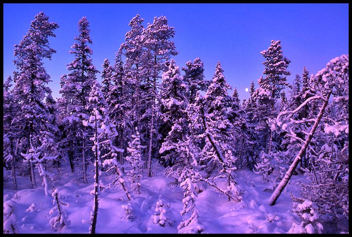 SnowyLandscape.jpg ht=490