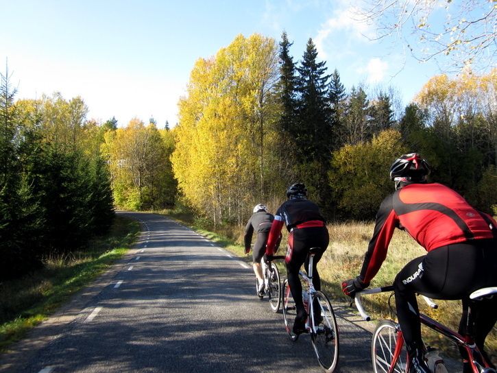 Sdertrn20111015f.jpg