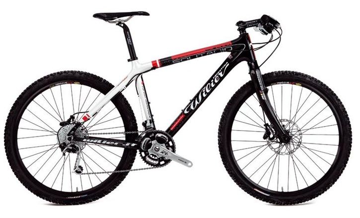 SOLITARIO_ritchey-b-w-3Medium.jpg ht=439