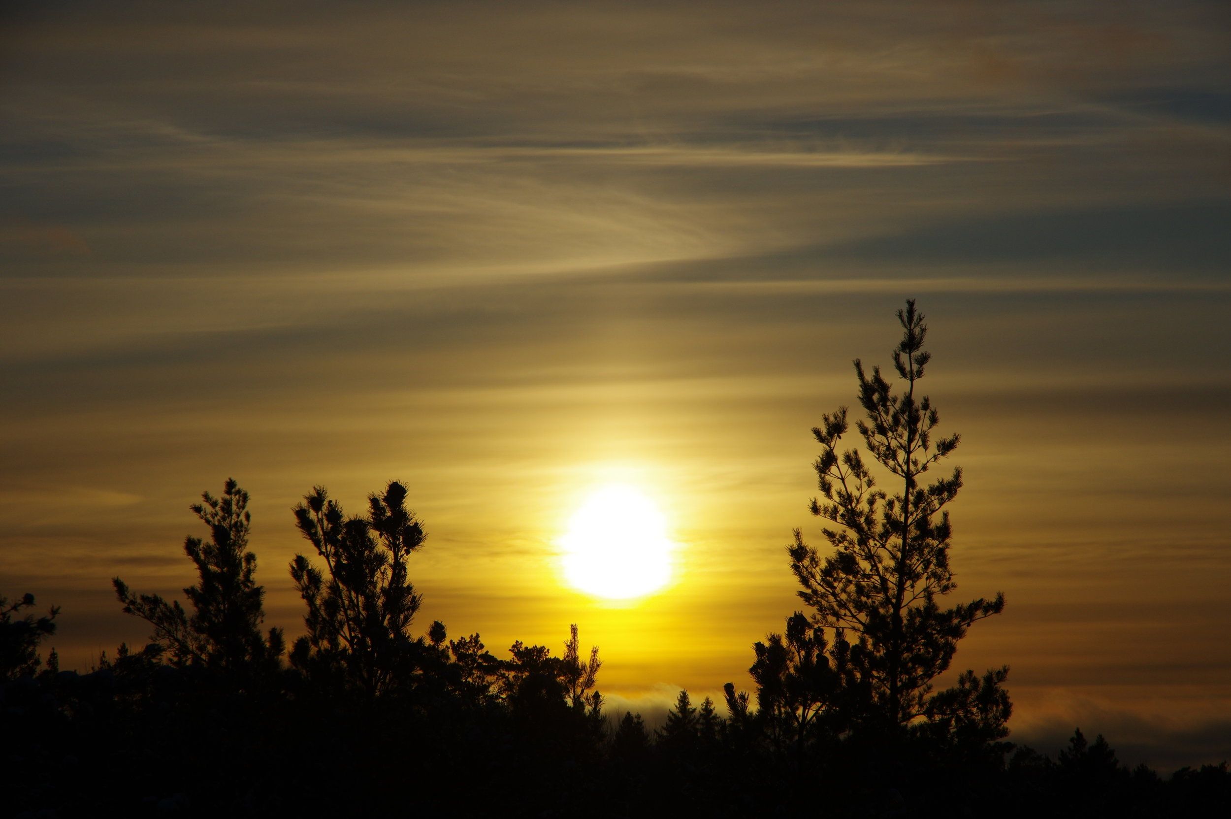 Solnedgång.JPG