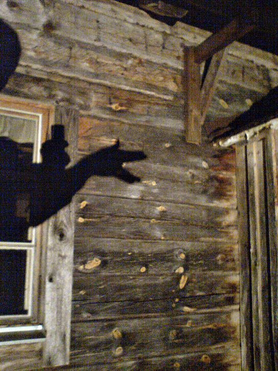 sololuns07.jpg ht=725