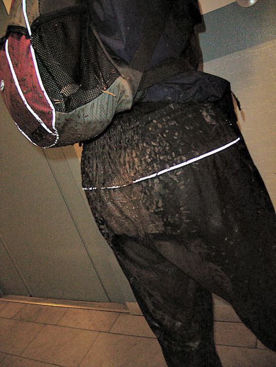 sololuns19.jpg ht=725