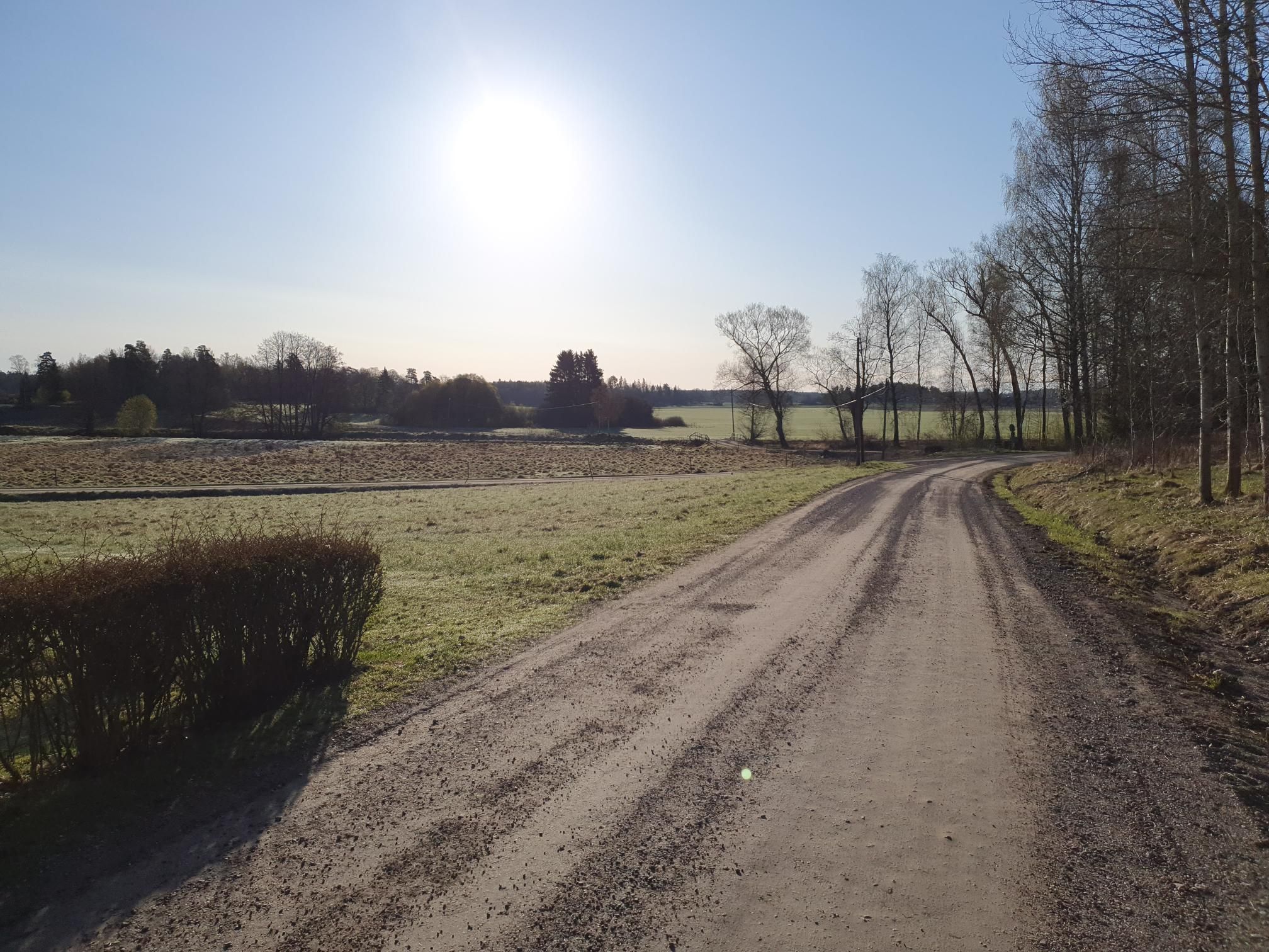 Soluppgång.jpg