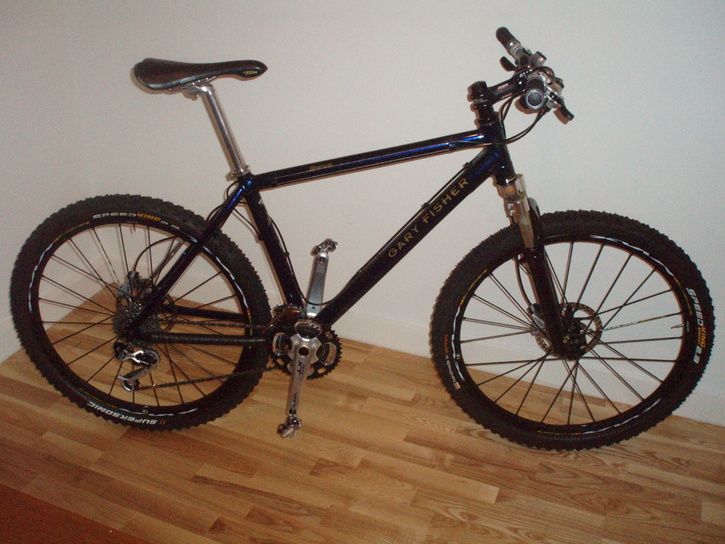 Sommar08347.jpg ht=544