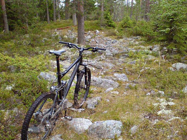 sommarmorgon_04.jpg ht=544