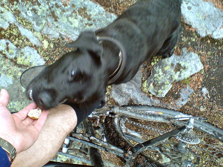 sommarmorgon_06.jpg ht=544