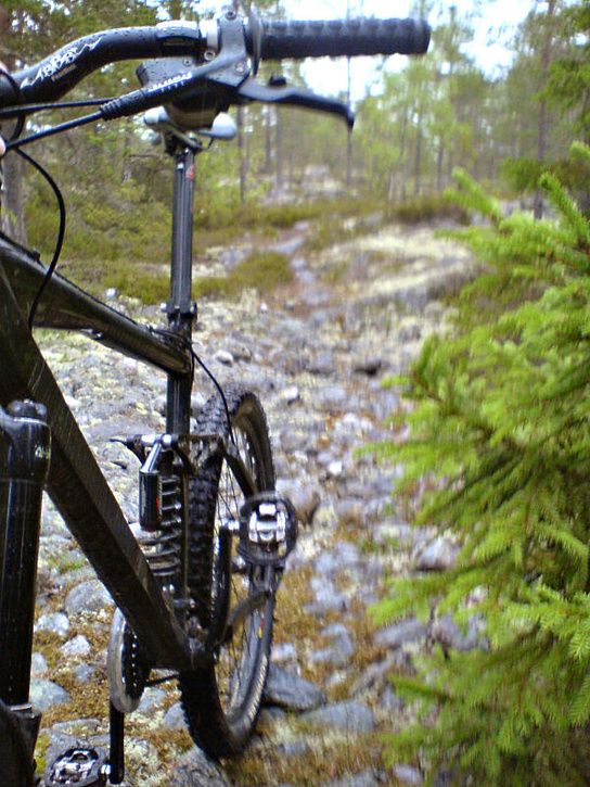 sommarmorgon_07.jpg ht=725
