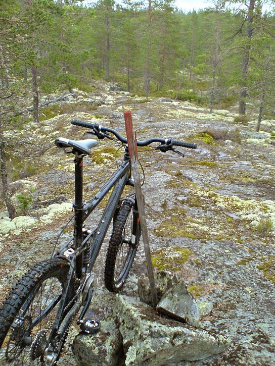 sommarmorgon_10.jpg ht=725
