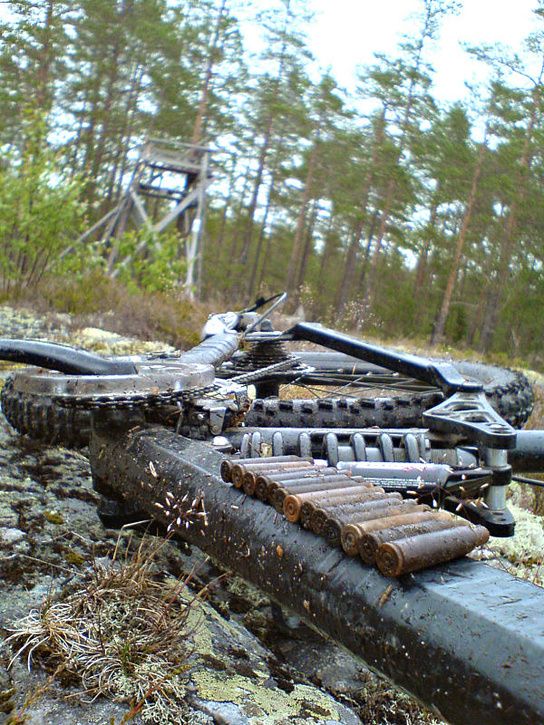 sommarmorgon_14.jpg ht=725