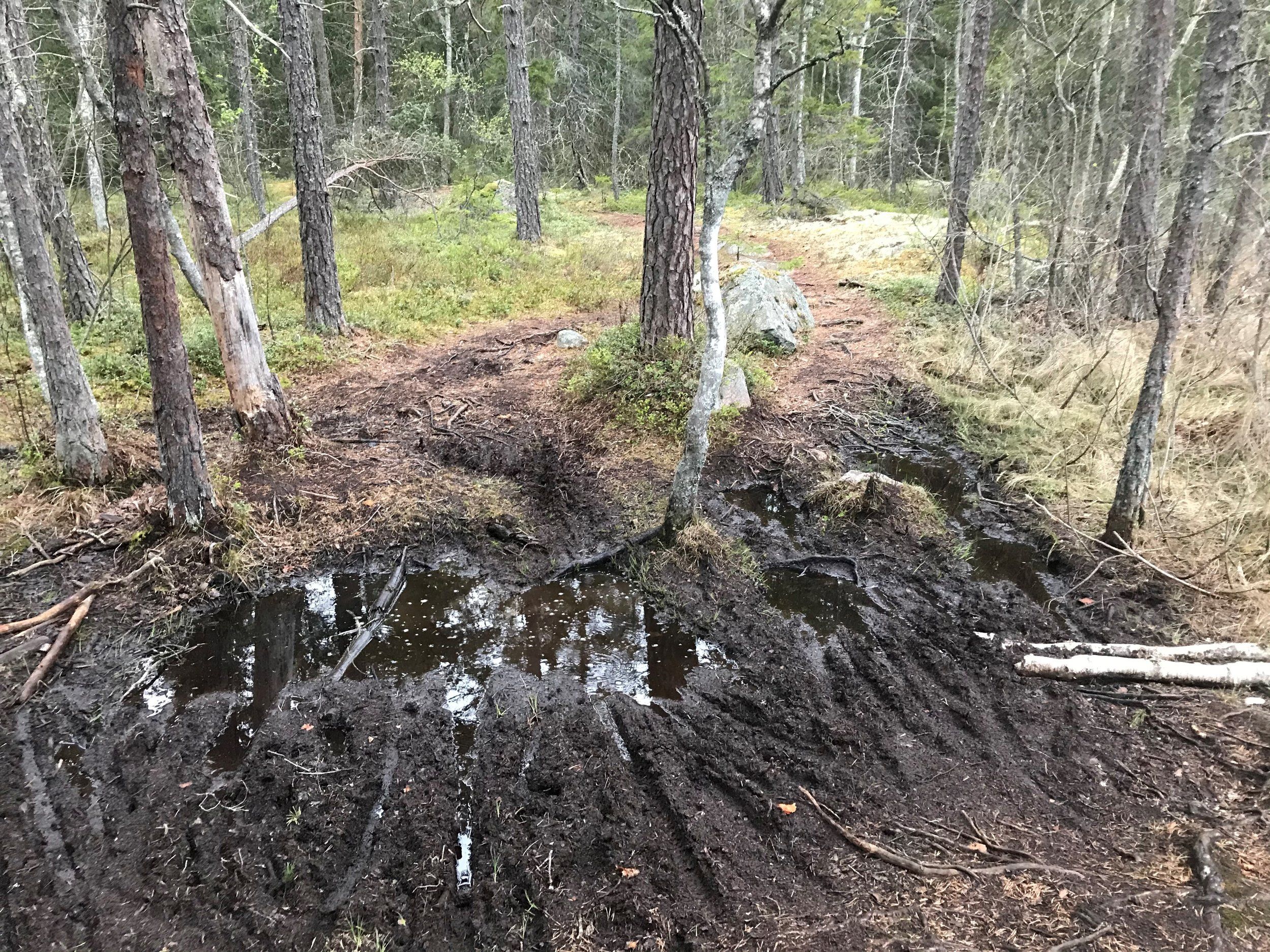 spång.jpg