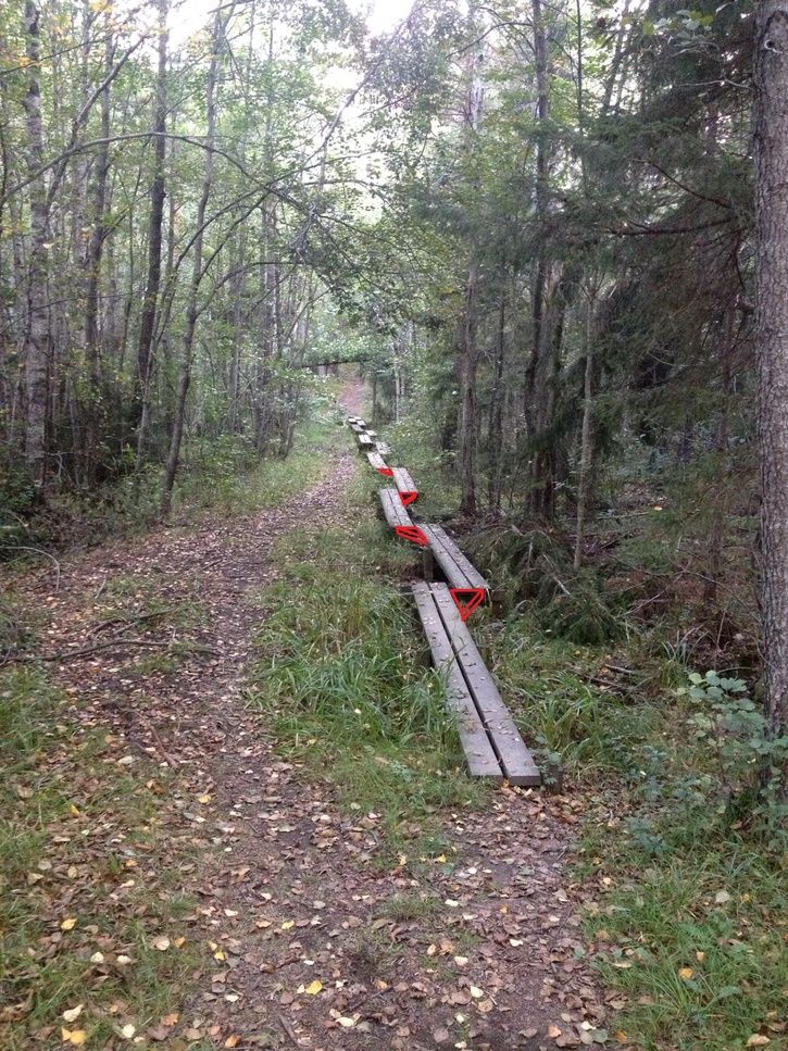 SpngenpGmmarenTTL.jpg
